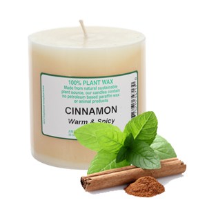 713_e.o candle 3x3_cinnamon_300x300.jpg